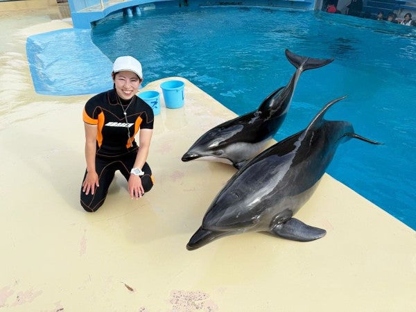 夢をかなえるおもちゃ箱 第18回：イルカの調教師・岩城さん | KAI'S